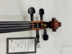 Violon VN-M02 - Ảnh 9
