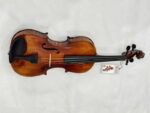 Violon VN-M02 - Ảnh 3