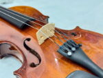 Violon VN-M02 - Ảnh 6
